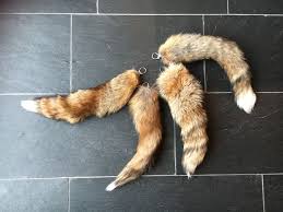 Image result for Fuchsschwanz