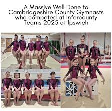 Image result for Ruxley Gymnastics Club
