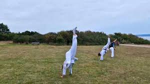 Image result for Wirral UKTA Taekwon-do