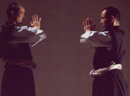 Image result for Southampton University Shorinji Kempo Club