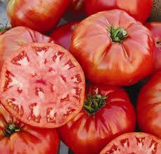 Afbeeldingsresultaat voor stump of the world tomato