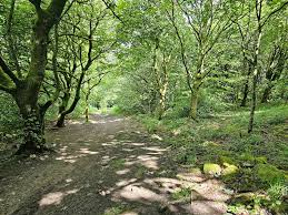 Image result for Blackburn Northern Sports Club