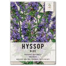 Image result for Hyssopus officinalis