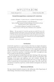 Attēlu rezultāti vaicājumam “Comatricha tenerrima spores”