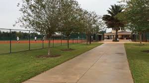 Image result for Blossom Way Sports & Social Club