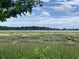 Image result for Poole Harbour Canoe Club