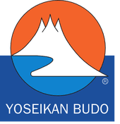 Image result for Yoseikan Budo England