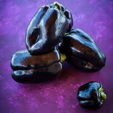 Afbeeldingsresultaat voor purple beauty sweet pepper