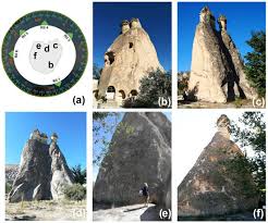 Attēlu rezultāti vaicājumam “Petractis sp.”