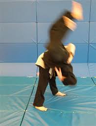 Image result for INTERNATIONAL HAPKIDO TAMWORTH