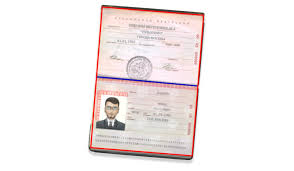 Image result for скан паспорта