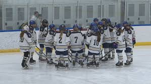 Image result for Stockton Ladies Hockey Club