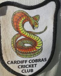 Image result for Cardiff Cobras