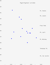 Attēlu rezultāti vaicājumam “Hygrohypnum luridum”