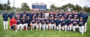 Image result for Bay Dragons CC