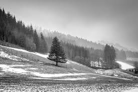 Image result for epl1 20mm night site:flickr.com