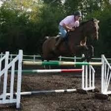 Image result for South Weylands Equestrian