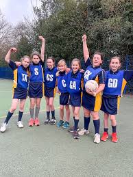 Image result for Elmbridge Netball Club