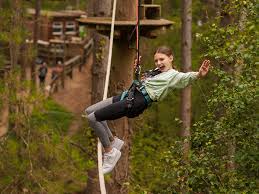 Image result for Go Ape! Thetford
