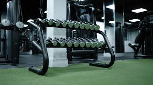 Image result for Village Gym Basingstoke
