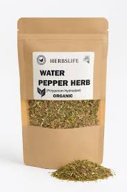 Attēlu rezultāti vaicājumam “Persicaria hydropiper”