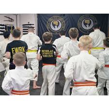 Image result for Colchester Wado Ryu Karate
