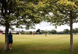 Image result for Downpatrick Cricket Club