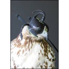 Image result for Henlow Anglo-Usa