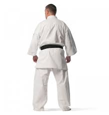 Image result for Sandokai Karate