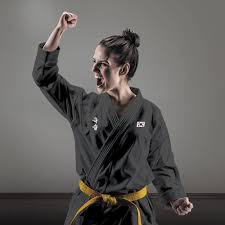 Image result for Burnham Karate Club