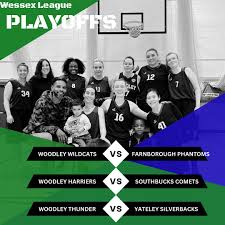 Image result for Woodley Basketball Club