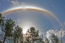 Kuvahaun tulos haulle haloilmi