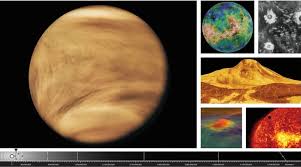 Image result for venus