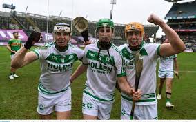 Image result for Shamrocks Hurling & Football Club