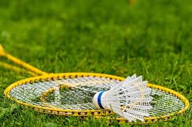 Image result for Greenmeadow Badminton Club