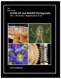 Attēlu rezultāti vaicājumam “Licea minima macro”