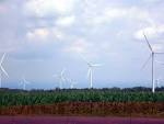 NCPR News Topics   Wind Power