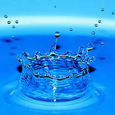 「観月真梨絵」の画像検索結果