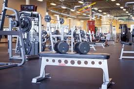 Image result for Inshape Fitness