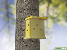 Image result for ladybug house
