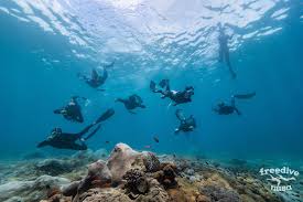 Image result for Bath Freediving Club