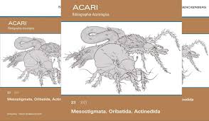 Attēlu rezultāti vaicājumam “Acari”