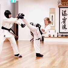 Image result for Jin Sei Kai Shotokan Karate