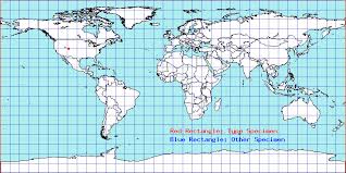 Attēlu rezultāti vaicājumam “Alloeotomus sp.”