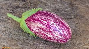 Afbeeldingsresultaat voor slim jim eggplant