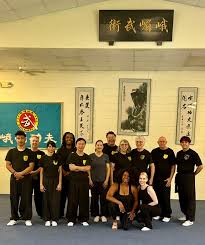 Image result for Wushu Tai Chi Club