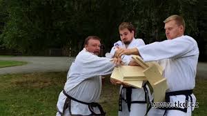 Image result for Bytomic Tae Kwon Do Bracknell