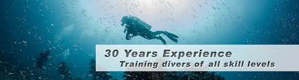 Image result for Splash Divers Sub Sub Aqua Club
