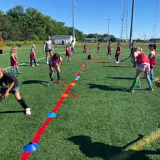 Image result for Phoenix Hockey Club (Essex)