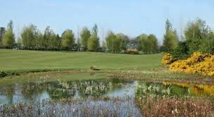 Image result for Broadwater Park Golf Club
